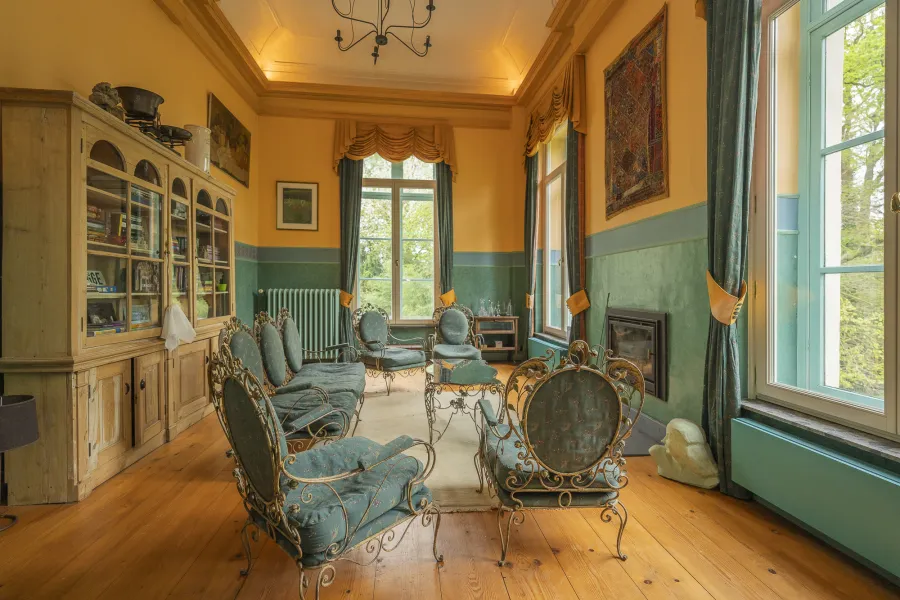 Salon historique au plafond décoré et mobilier classique